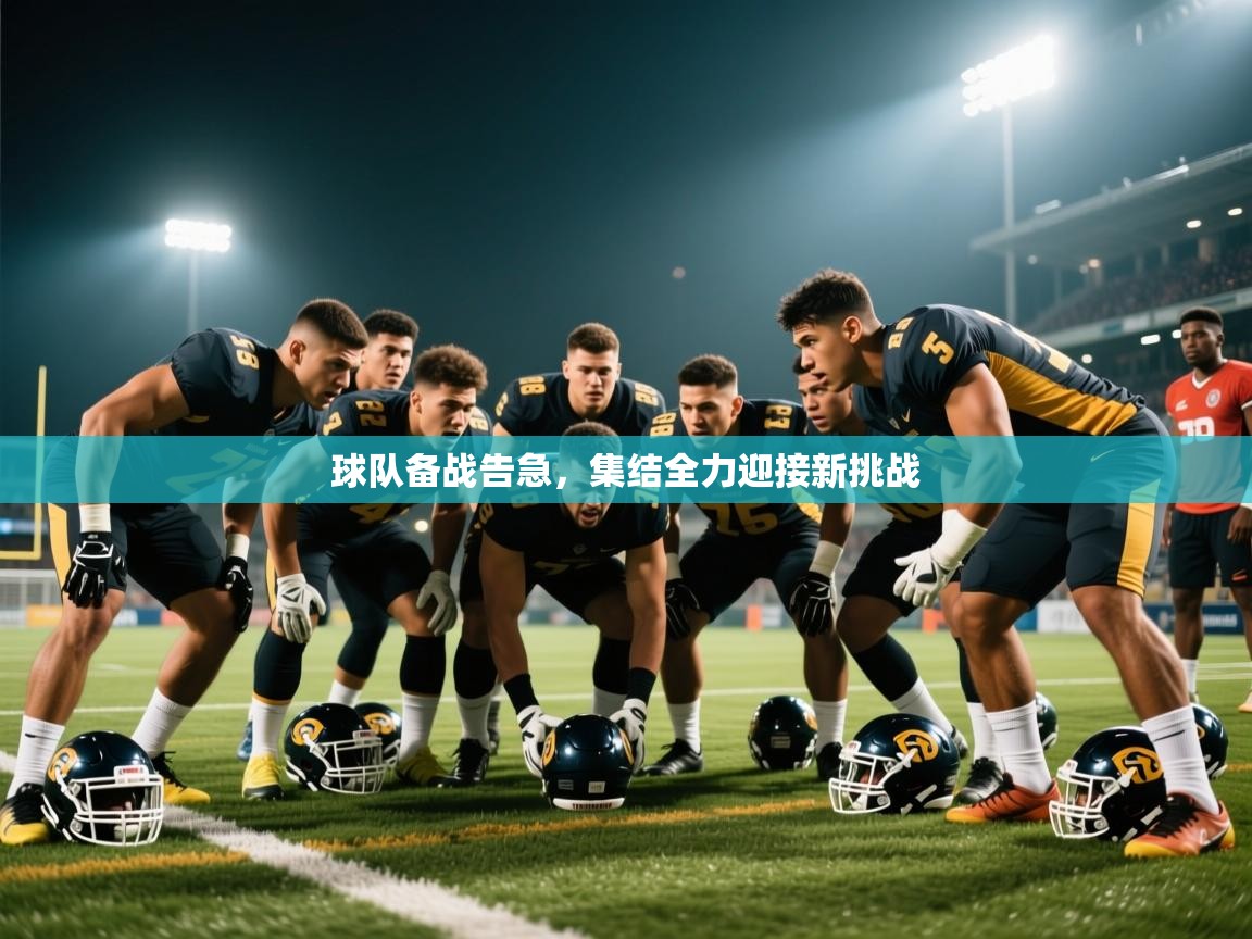 2025华体会体育下载球队备战告急,集结全力迎接新挑战 第2张