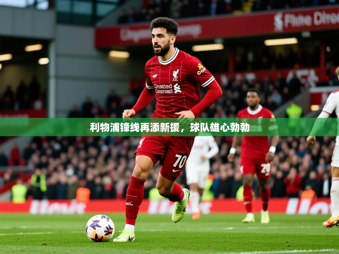 2026华体会体育下载利物浦锋线再添新援，球队雄心勃勃  第4张